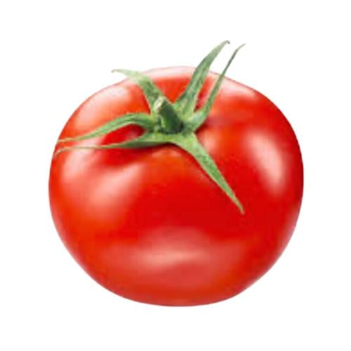 طماطم غندورة هجين ( 1000 بذرة )