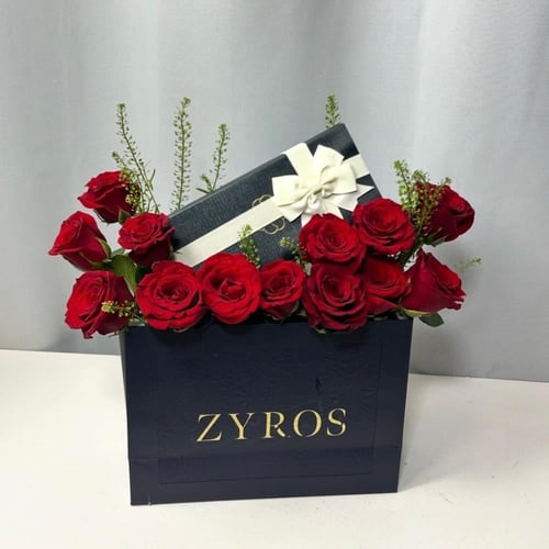 تنسيق قلم زايروس