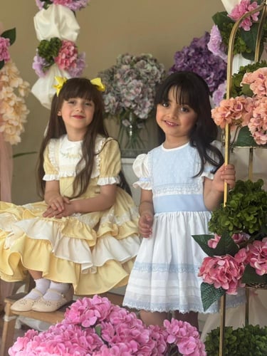 فستان كلاسيك 2026 (1)