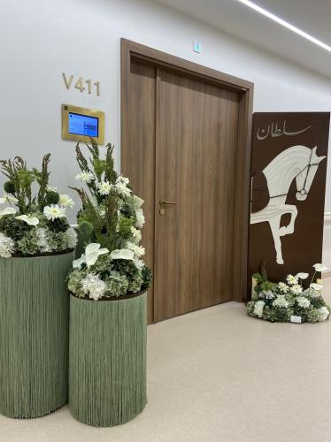 بكج الهدب حصان ورد صناعي