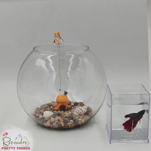 فازة دائرية- شامل سمك الفايتر