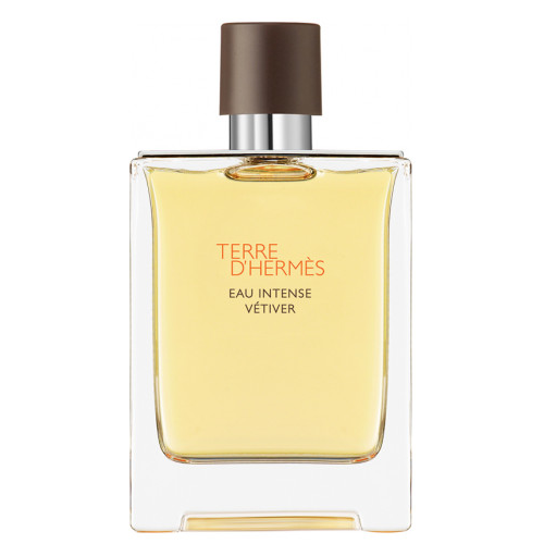 Terre D'hermes Eau Intense Vetiver by Hermes