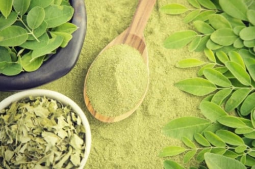 عشبة المورينجا