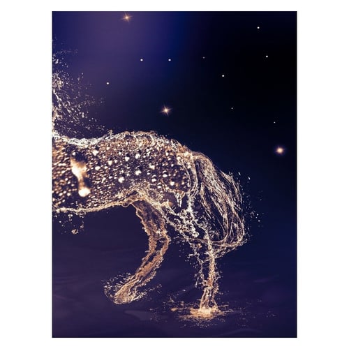 لوحات فنية خيل بالماء بخلفية ازرق غامق