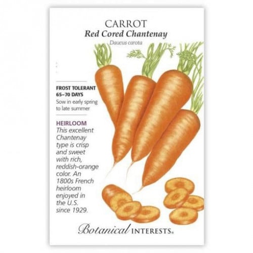 بذور جزر شانتيناي - Red Cored Chantenay Carrot See...
