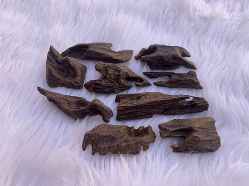 كلمنتان مالينو، الأوقية بـ