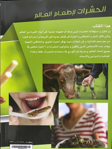 الحشرات لإطعام العالم