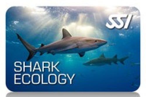 دوره غواص قروش