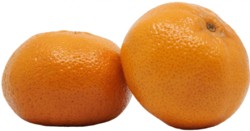 يوسف افندي بالكيلو