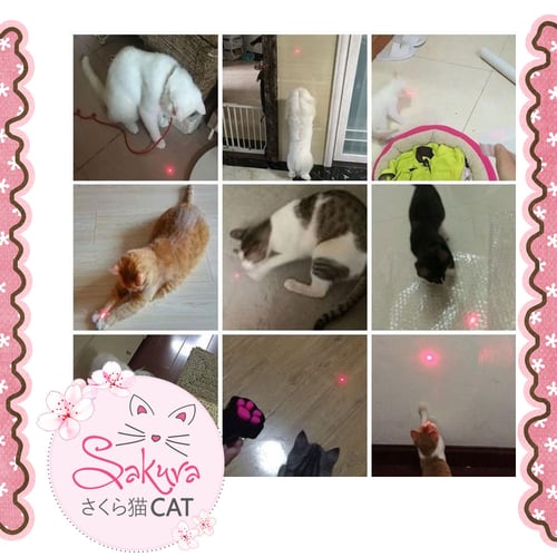 لعبة الليزر على شكل اقدام القطط