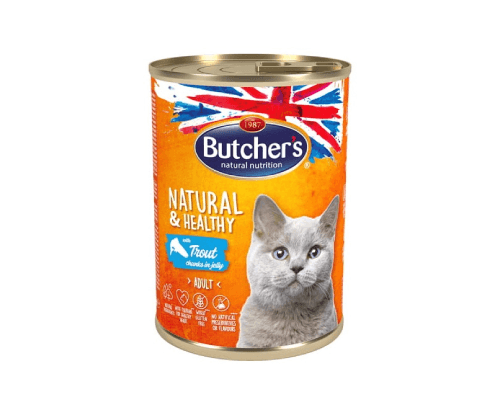 طعام رطب بنكهة السالمون