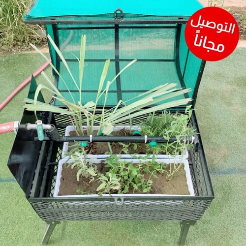 مشتل النعناع