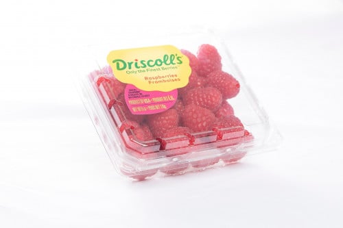 توت احمر امريكي