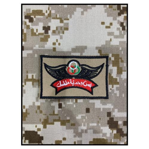 امن وحماية منشآت