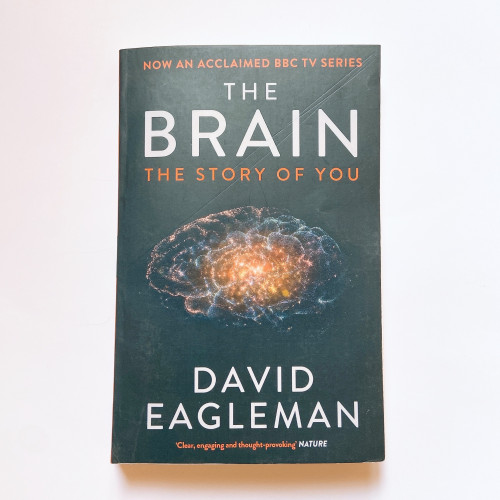 The Brain