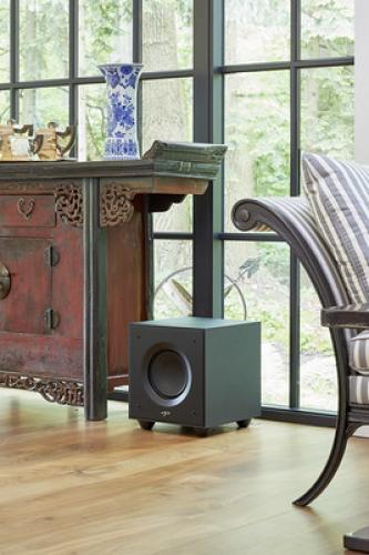 مضخم صوت صب ووفر Paradigm Defiance V8