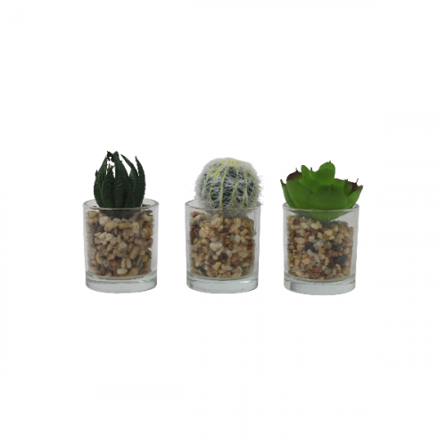 نباتات صناعية صغيرة Small ornamental plants