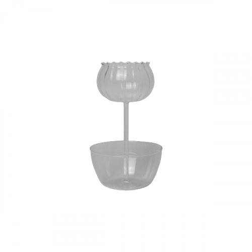 طبق شفاف transparent dish