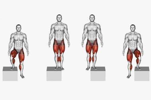 خطوة ( ستيب )