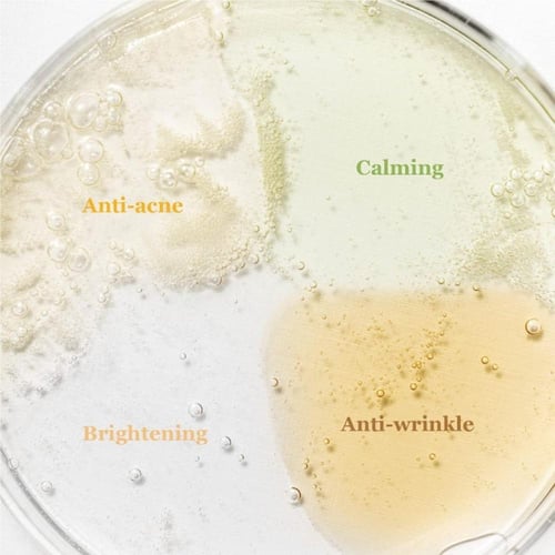 بيوتي اوف جوسون مجموعة سيروم هانبانق الأستكشافية