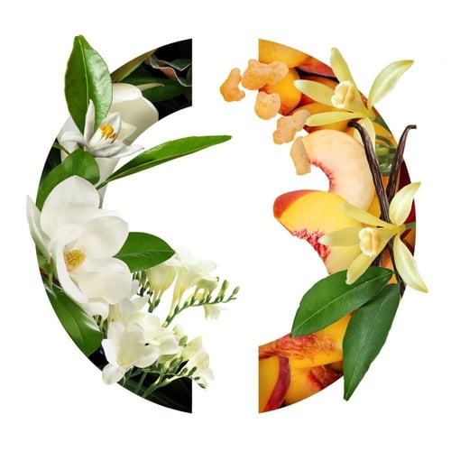 عطر كارون ليدي كارون او دو بارفيوم 100مل