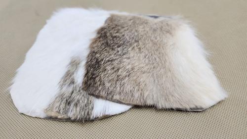 فرو أرنب شرقي - لون عشوائي