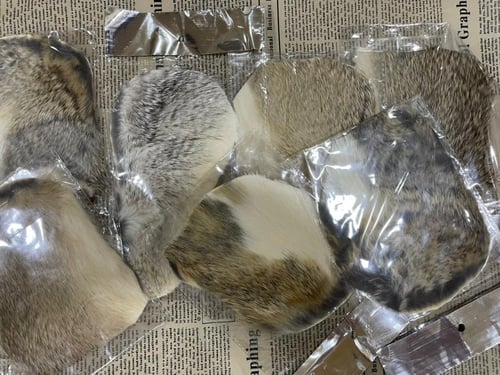 فرو أرنب شرقي - لون عشوائي