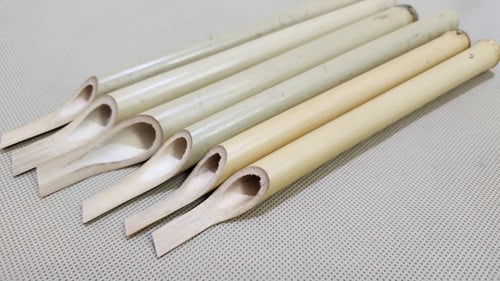 بامبو شرقي صغير - رقم 144500066