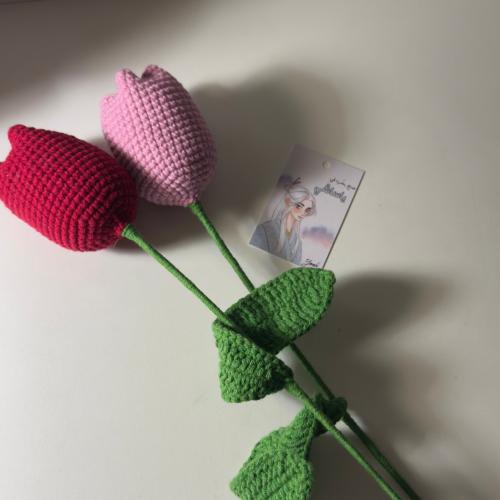 كوروشيه ورد