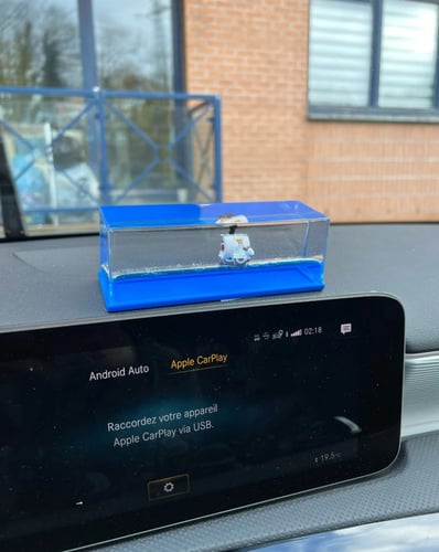 صندوق ميري - one piece