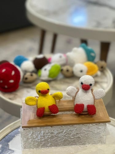 كوروشيه البطة