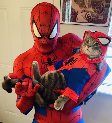 كوسبلاي سبايدرمان - spiderman