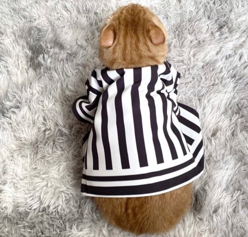 كوسبلاي ديمون سلاير- حيوان أليف - pet