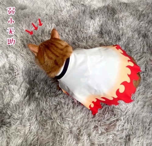 كوسبلاي ديمون سلاير- حيوان أليف - pet