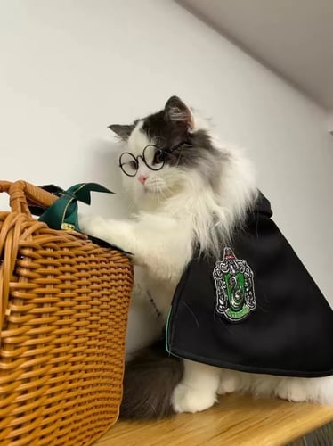 كوسبلاي سبايدرمان - spiderman