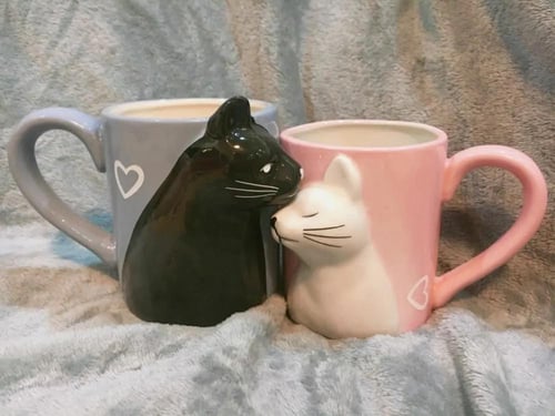 كوب القطط - cup