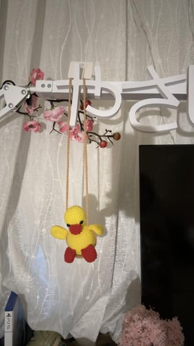 كوروشيه البطة