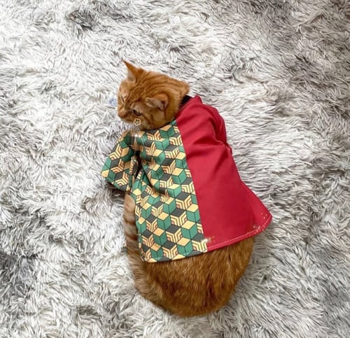 كوسبلاي ديمون سلاير- حيوان أليف - pet