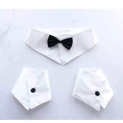 كوسبلاي ماي الارنب - rascal does not dream of bunn...