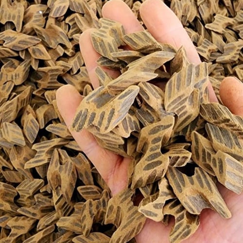 بكج الصندوق الشامل