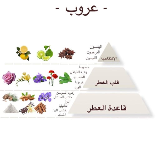 بكج مجموعة العطور