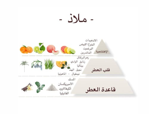 ملاذ معطر جو