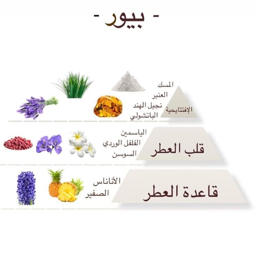 بكج مجموعة العطور