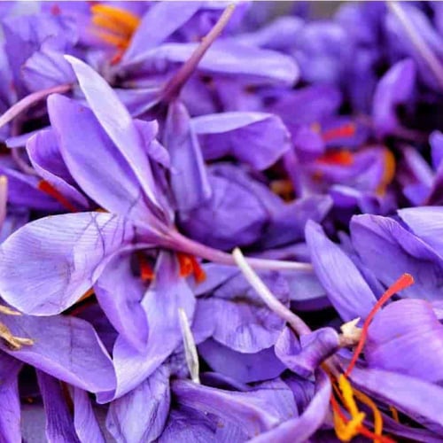 زعفران سوبر نقيل 5 جرام