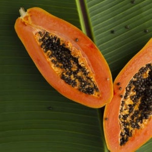 صابون الببايا 5×1 باوراق شجرة الشاي 135غ