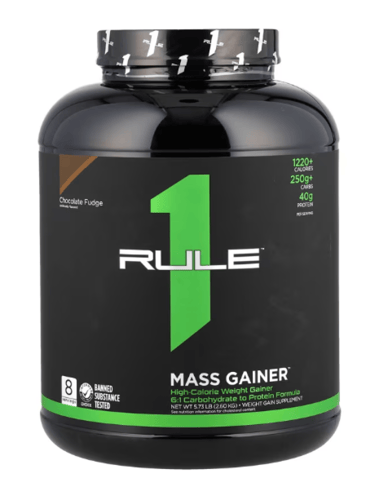 رول ون ضخامة بروتين 2.2 كج R1 Protein Mass متعدد ا...
