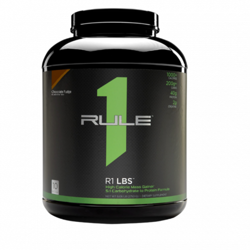 رول ون ضخامة بروتين 2.2 كج R1 Protein Mass متعدد ا...