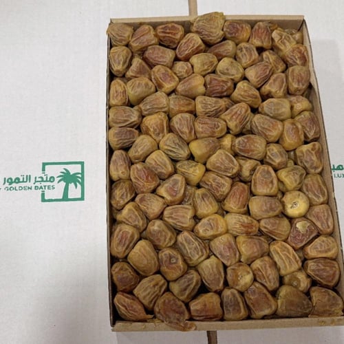 عرض سكري القصيم المفتل