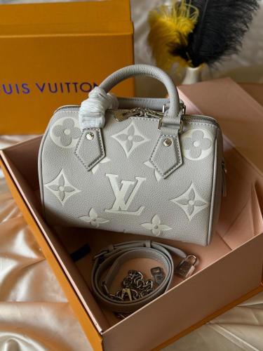 Louis Vuitton Speedy - Light Grey Monogram Bag