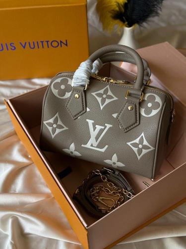 Louis Vuitton Speedy - Gray Monogram Bag